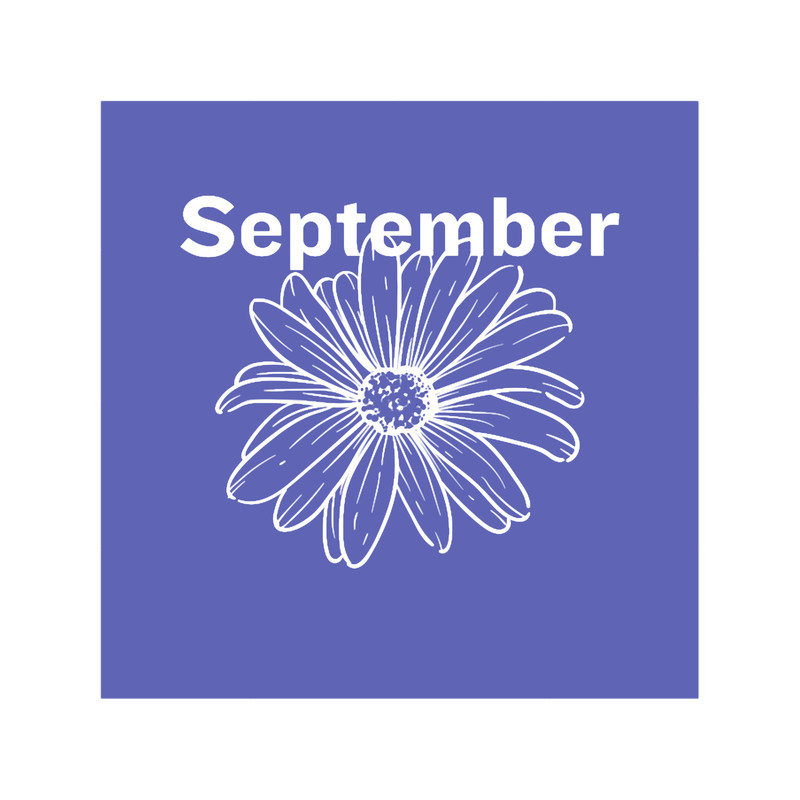 Month Flower - September.png