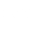 Philly Script - BlackWhite.png