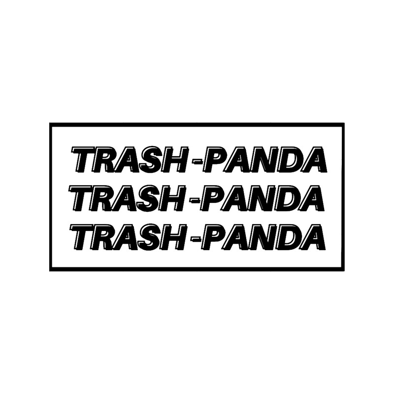 Black and White Trash Panda.png