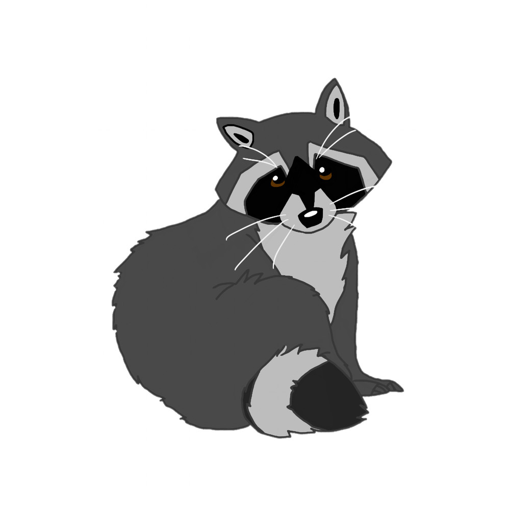 Cute Raccoon.png