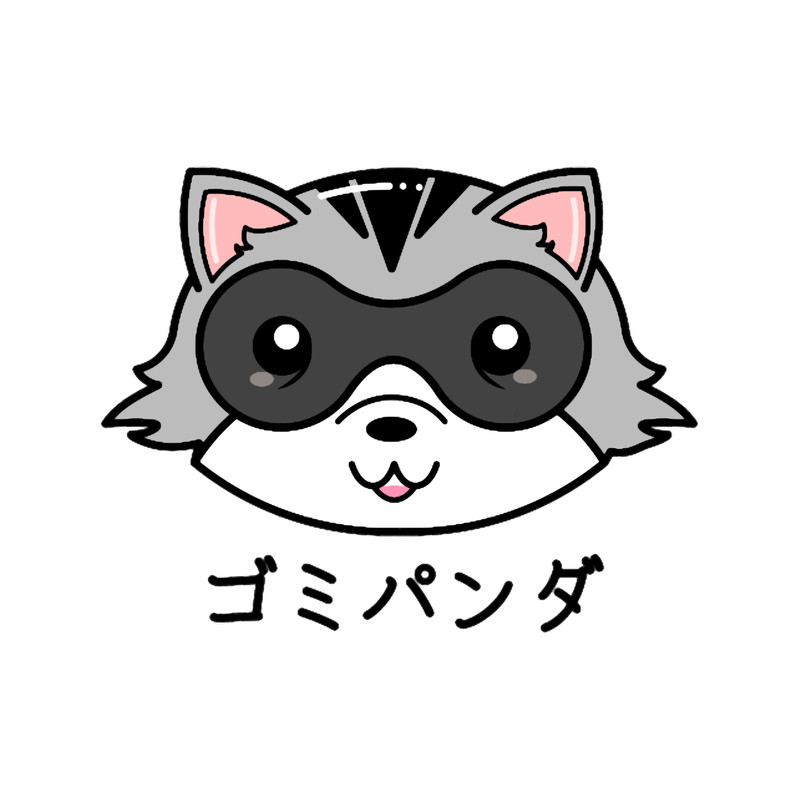 Kawaii cute Raccoon Trash Panda .png