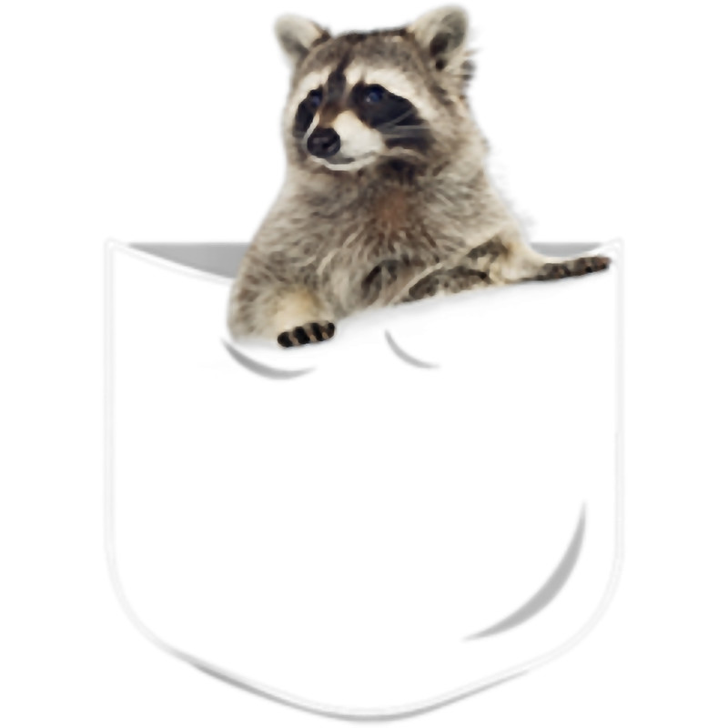 Pocket Raccoon .png