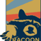 Racoon .png