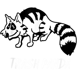 trash panda funny racoon