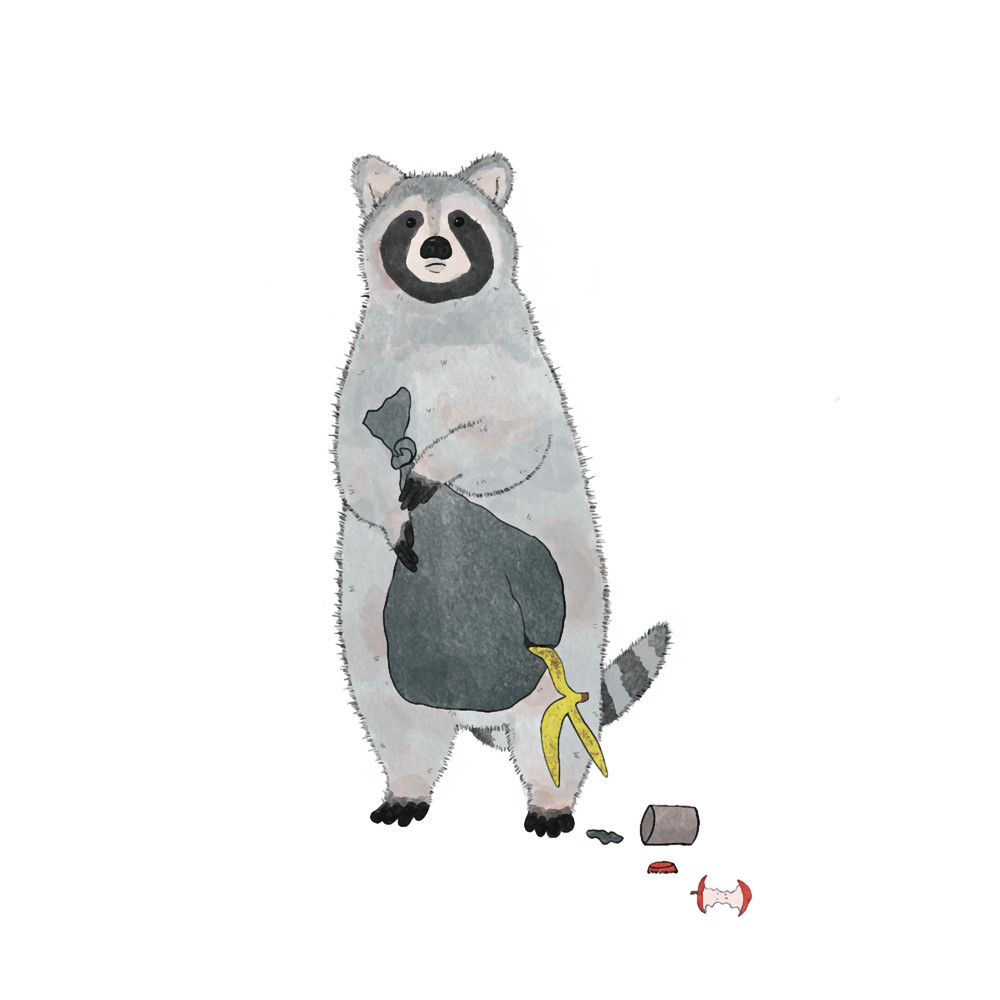 Trash Panda, Garbage Raccoon, Cute Animal .png