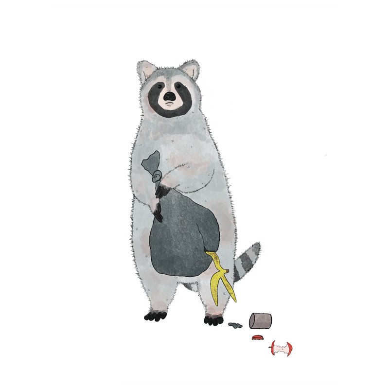 Trash Panda, Garbage Raccoon, Cute Animal .png