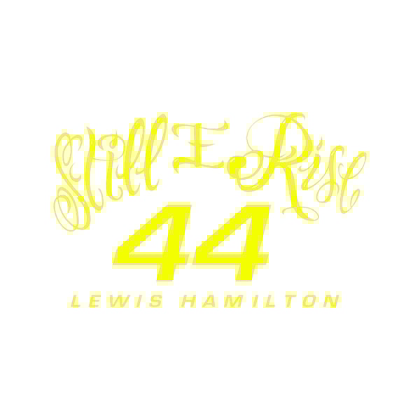Lewis Hamilton 44(6).png