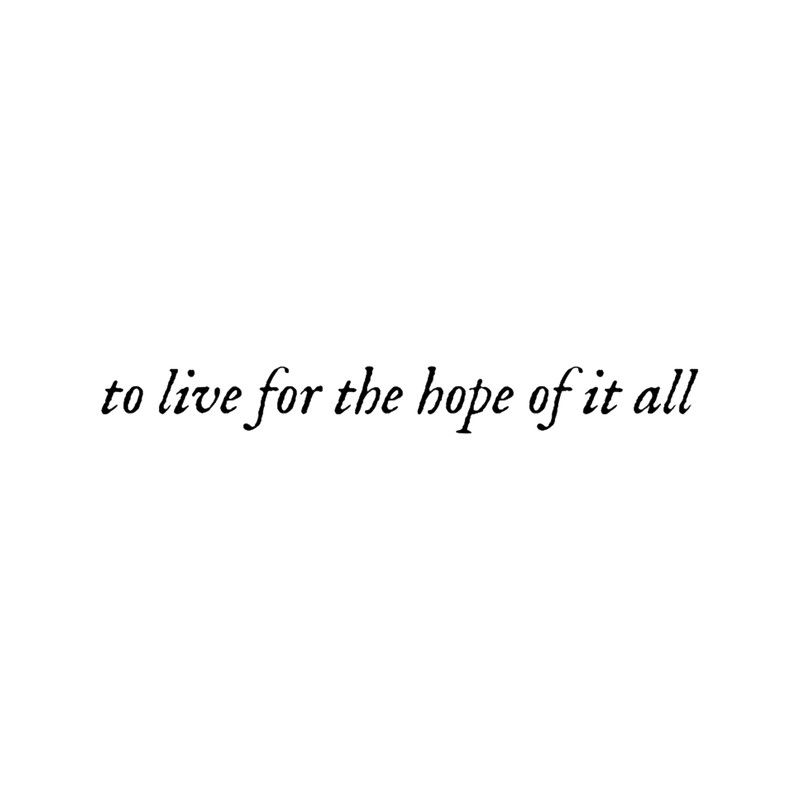 To live for the hope of it all - Taylor swift august lyrics.png