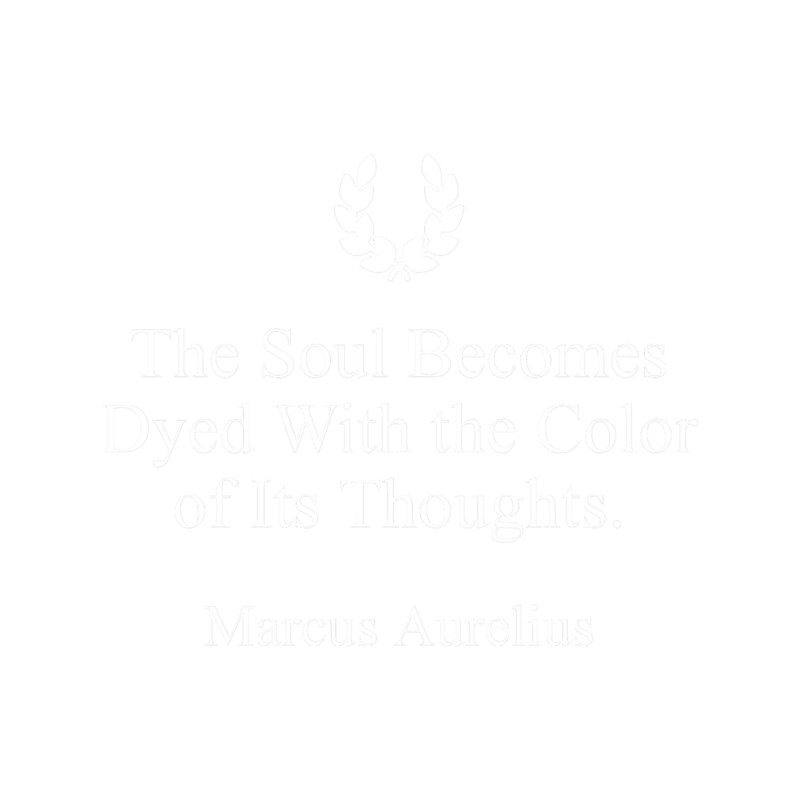 Stoicism Quote on the Soul by Marcus Aurelius.png