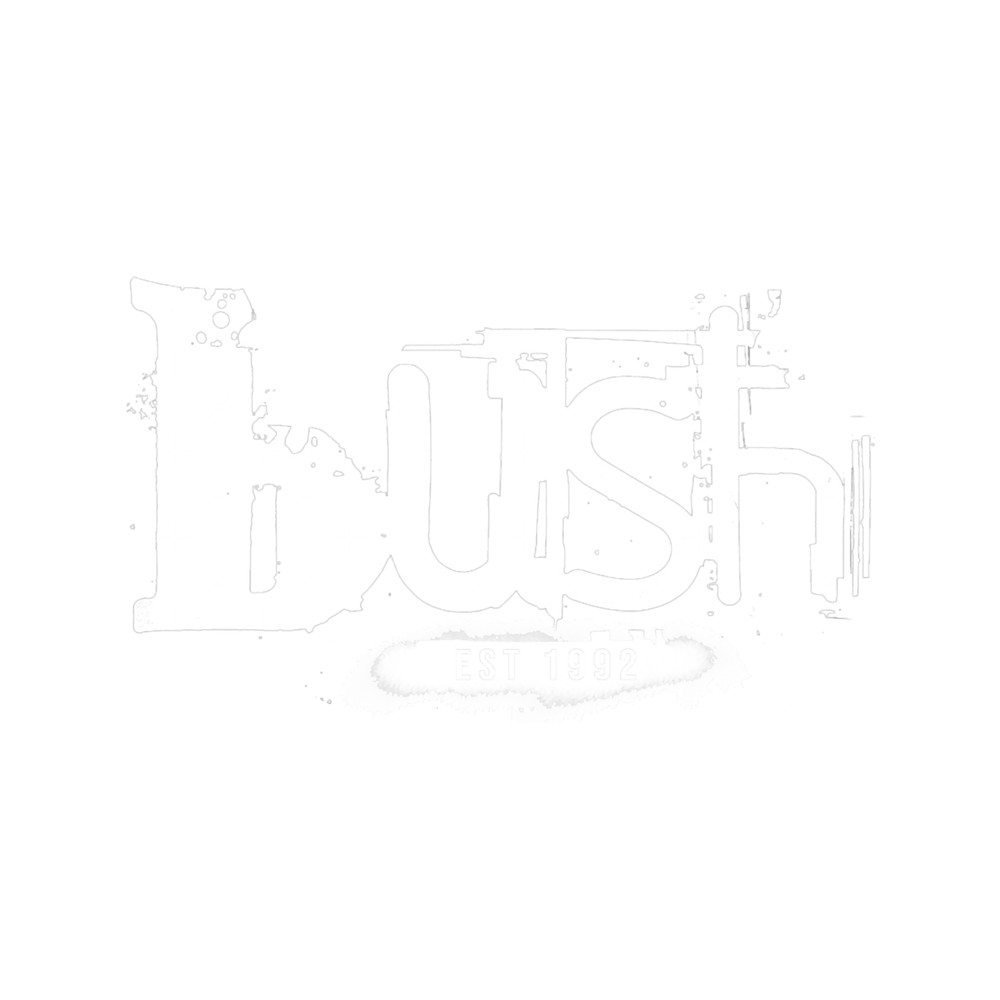 Bush - established in 1992 grunge graphic. Original fan art design for the awesome alternative rock .png
