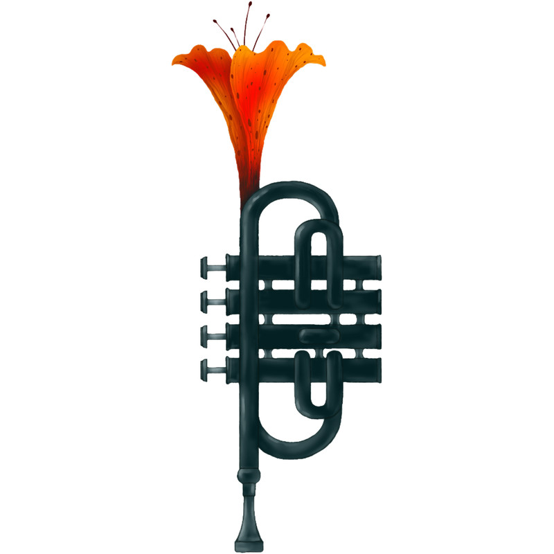 Trumpet Flower.png