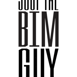 just the bim guy