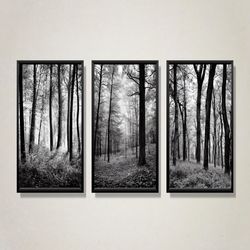 "Enchanted Forest Trio" - Black & White Landscape Wall Art Set - PNG