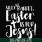 FN00050-Silly rabbit Easter is for Jesus svg, png, dxf, eps file FN00050.jpg