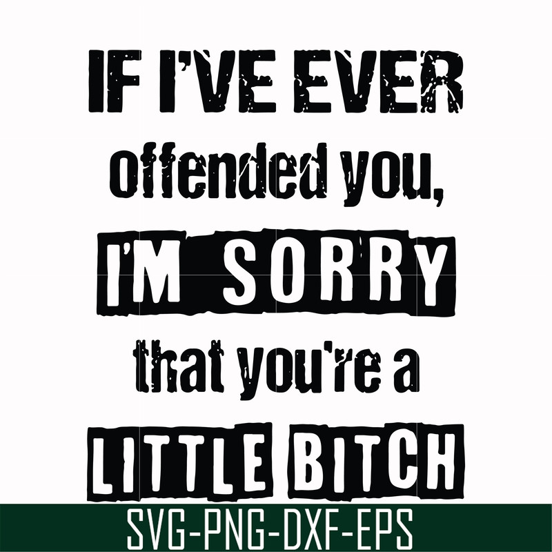 FN000663-If I've ever offended you Im sorry that you're a little bitch svg, png, dxf, eps file FN000663.jpg