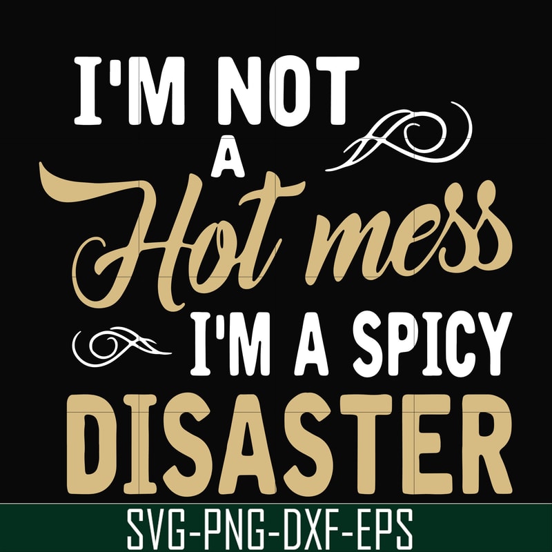 FN00080-I'm not a hot mess I'm a spicy disaster svg, png, dxf, eps file FN00080.jpg