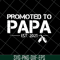 FTD28042118-Promoted to papa 2021 svg, Fathers day svg, png, dxf, eps digital file FTD28042118.jpg