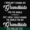 FN000332-I wouldn't change my grandkids for the world but I wish I could change the world for my grandkids svg, png, dxf, eps file FN000332.jpg