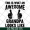 FTD29042106-This is what an awesome grandpa svg, Fathers day svg, png, dxf, eps digital file FTD29042106.jpg