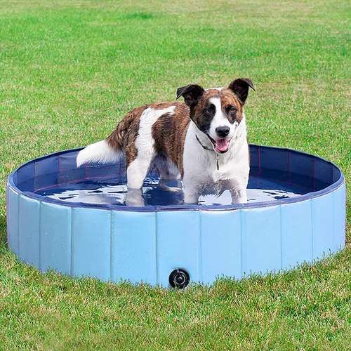 Outdoor Collapsible Portable Paw Pool For Dogs & Cats