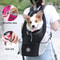 Dog Backpack 5.png