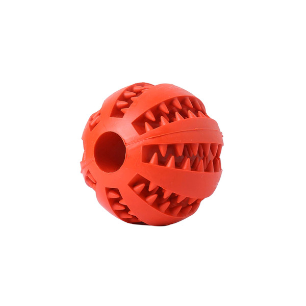 Toothy Dog Chew Toy 2.png
