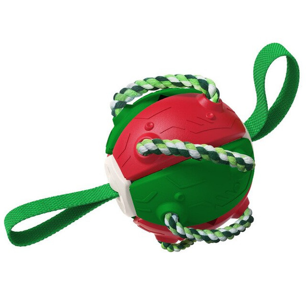 Bouncing Frisbee Ball Interactive Dog Toy 8.png