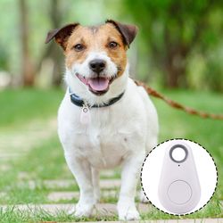 Anti-Lost Pet GPS Tracker