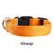 Battery Powered Luminous Dog Collar