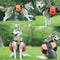 Outdoor Dog Backpack (2).jpg