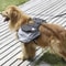Outdoor Dog Backpack (10).jpg