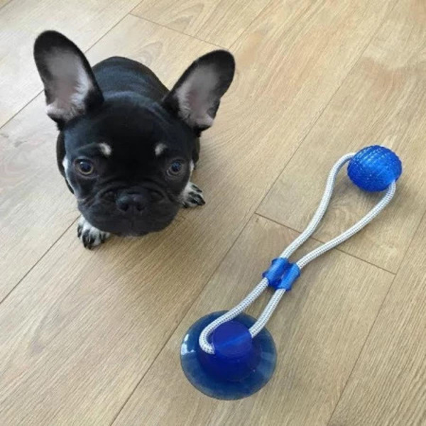 Dog Suction Cup Toy 111).jpg