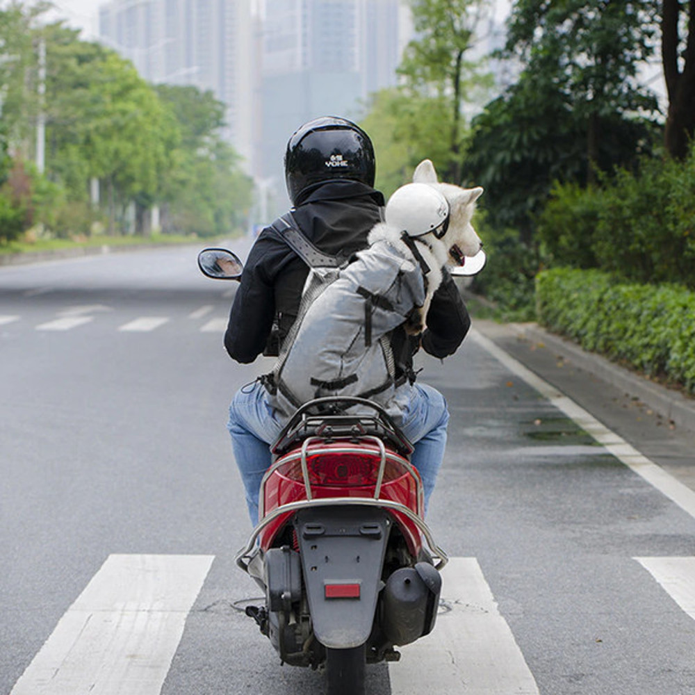 Dog Backpack Sack Carrier (5).jpg