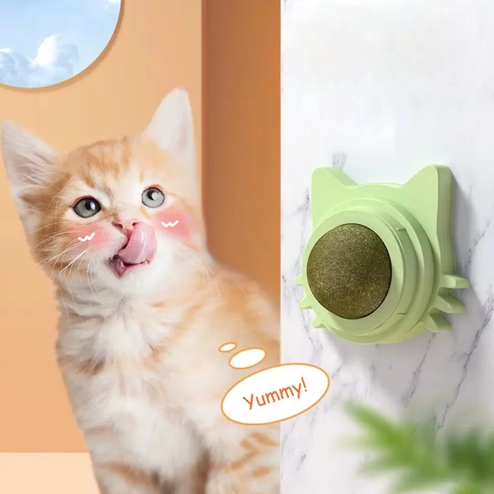 Natural Catnip Ball Toy  StickOn Dental Health  Play For Cats 1