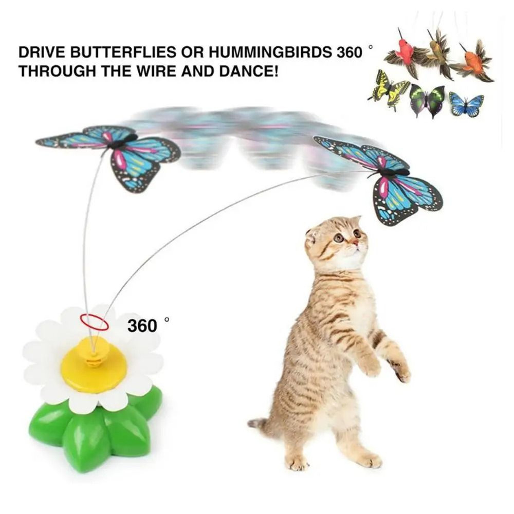 Interactive Rotating Butterfly  Hummingbird Cat Toy 6