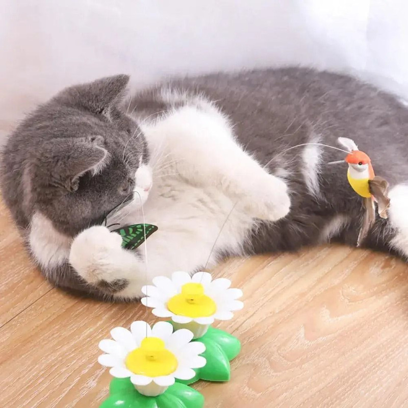 Buy Interactive Rotating Cat Toy