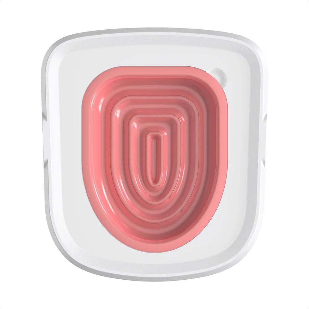 Best Cat Potty Training Kit to Buy