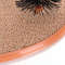 Interactive Cat Massage Grooming Arch Toy With Scratching Pad 5