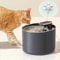 Buy Automatic Cat Feeder Water Dispenser