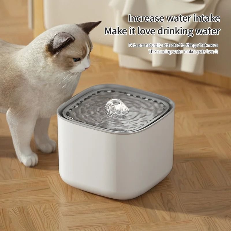 Best Cat Water Dispenser