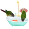 Pet Bird Bath Paddling Pool Automatic Parrot Shower Bathtub With Cage Feeder Accessories Summer To 5