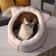 Winter Cute And Warm House Foldable Washable Puppy Cave Bed For Small Medium Pets 1