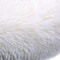 Dog Plush Pet Bed With Winter Thickened Pad And Removable Sleeping Sofa Pad 4