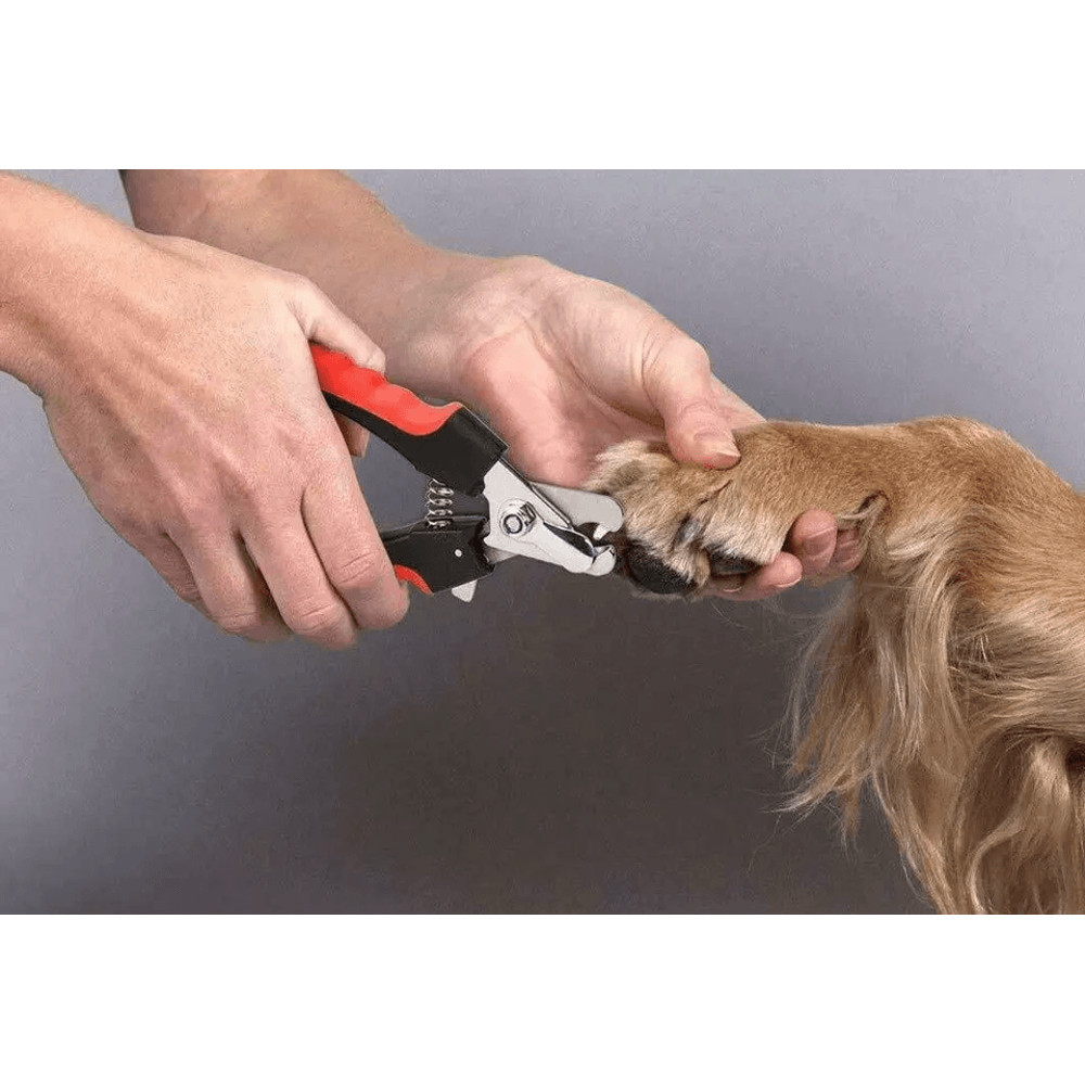 Dog Nail Clippers Cutting Scissors Claw For Small  Large Breeds Professional Pet Grooming Tool 2