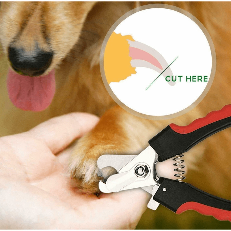 Dog Nail Clippers Cutting Scissors Claw For Small  Large Breeds Professional Pet Grooming Tool 3