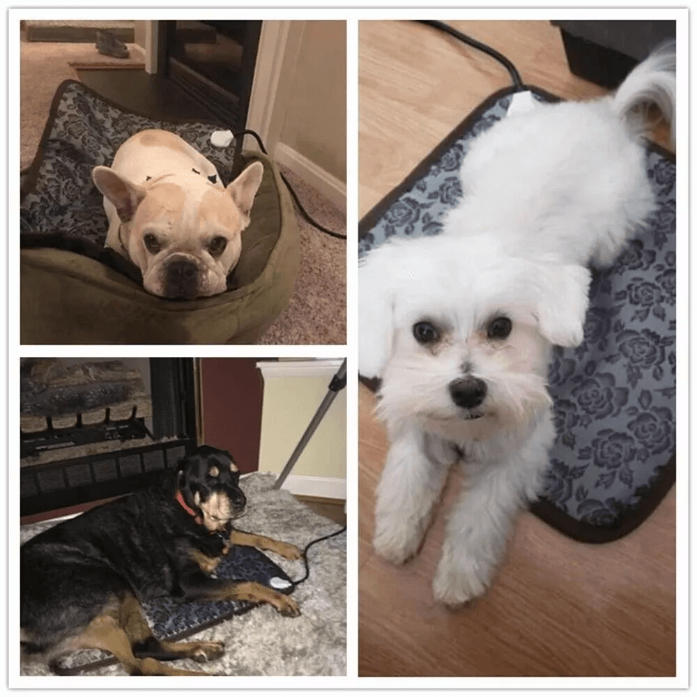 Pet Heating Pad Adjustable AntiBite Steel Cord Waterproof Cat Dog House Mat Heated Bed For Indoor U 2