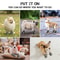 Dog Shoes with Non-Slip Soles, Thick Plush Paw Protection, Warm Breathable Pet Booties for All-Season Comfort