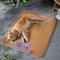 Cooling Mat for Dogs, Summer Cooling Pet Bed, Puppy Basket Bedding, Cats Accessories Cushion, Portable Kennel Accessory