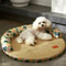 Dog Mat Cooling Bed Bedding For Dogs Big Cushion Beds Cats Fluffy Pet Supplies Accessories Puppy So 1