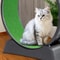 Cat Exercise Wheel Cat Wheels For Indoor Cats Cat Treadmill Wheel Exerciser With Carpeted Runway Ca 4